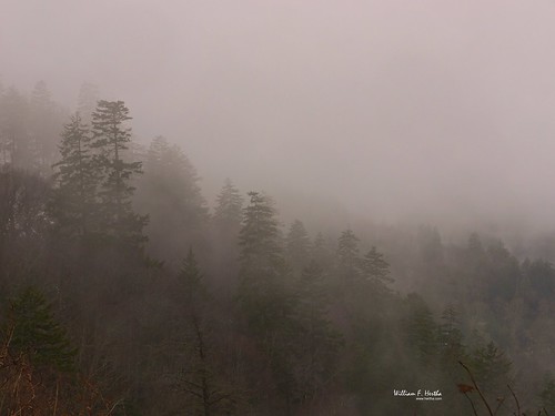 Old Smoky National Park