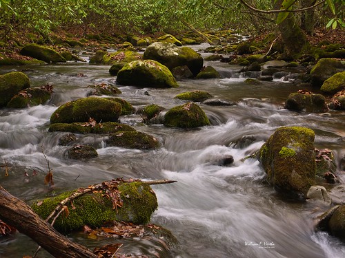 Old Smoky National Park