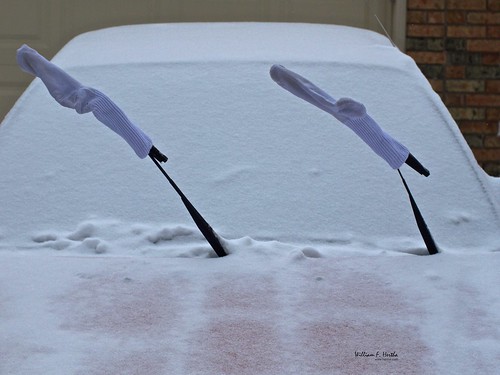 Windshield Wiper Socks