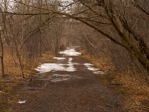 Wlak through German Mill Settler Park