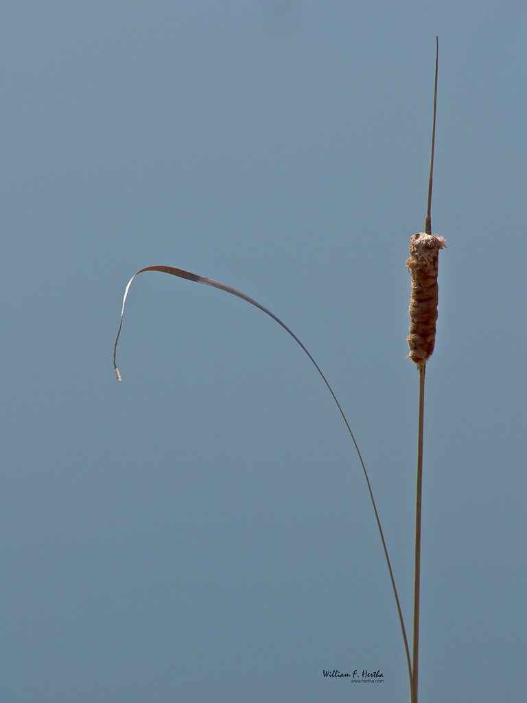 Standing Alone