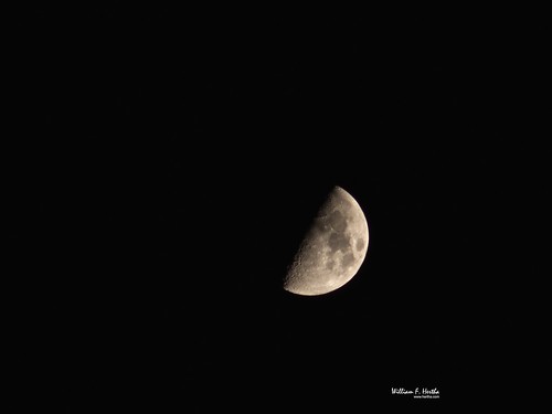 Moon from backyard