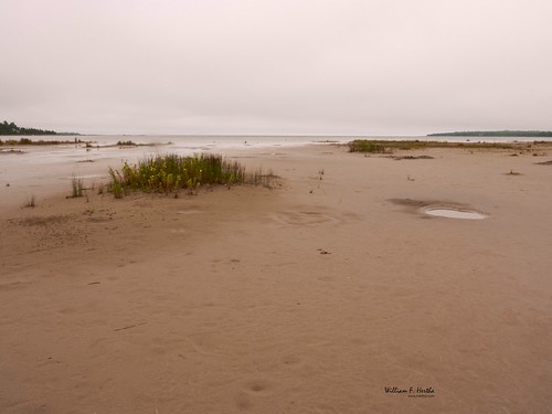 Singing Sands