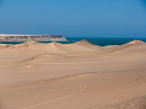 Paracas National Reserve