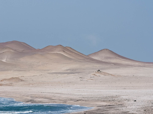 Paracas National Reserve