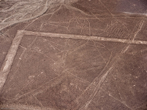 Nasca Lines