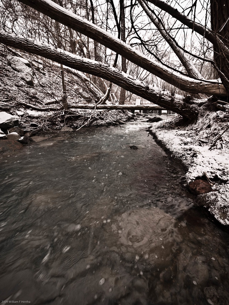 Maple Valley Park