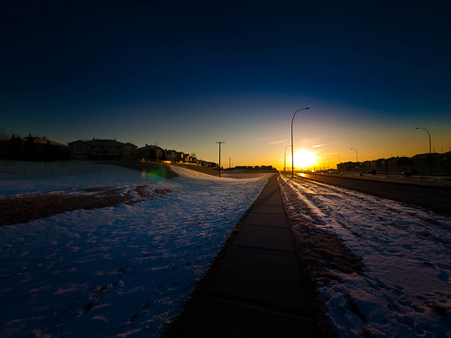 Morning Walk in Calgary