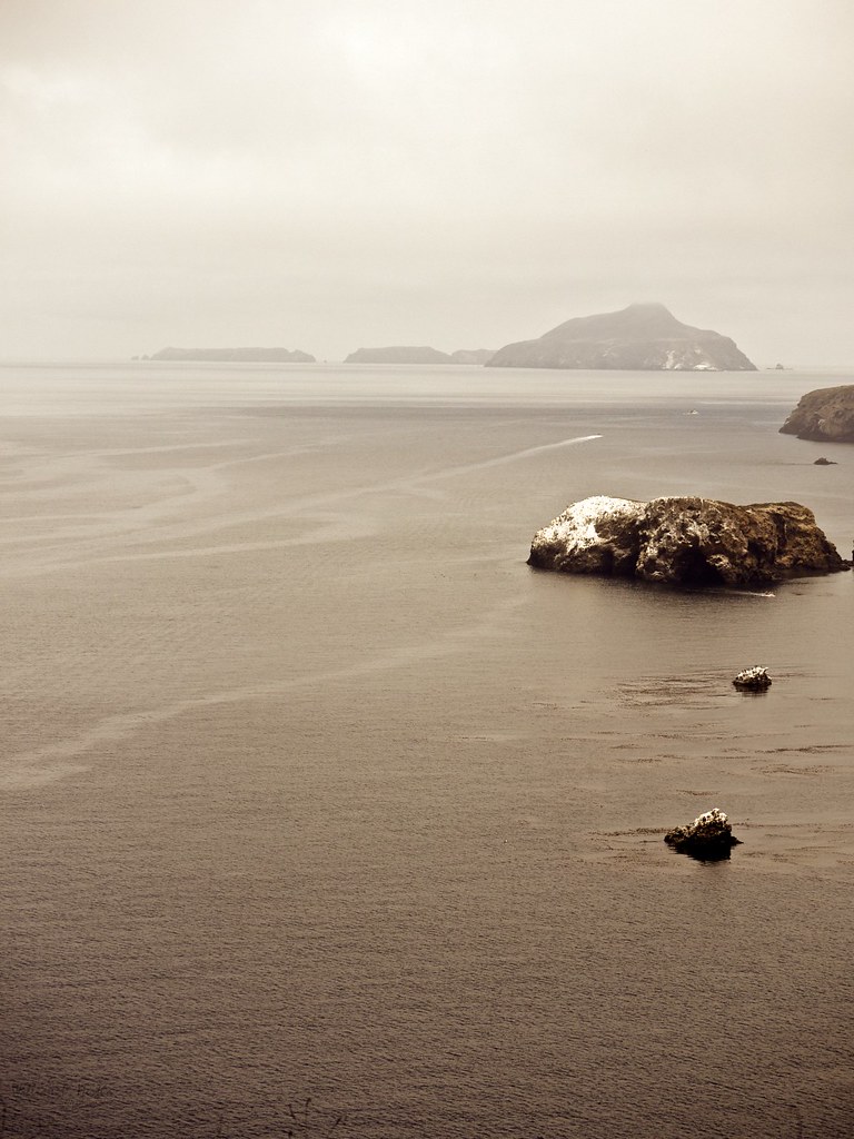 Channel Islands #3