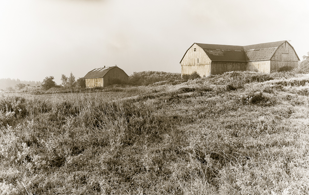 Barn