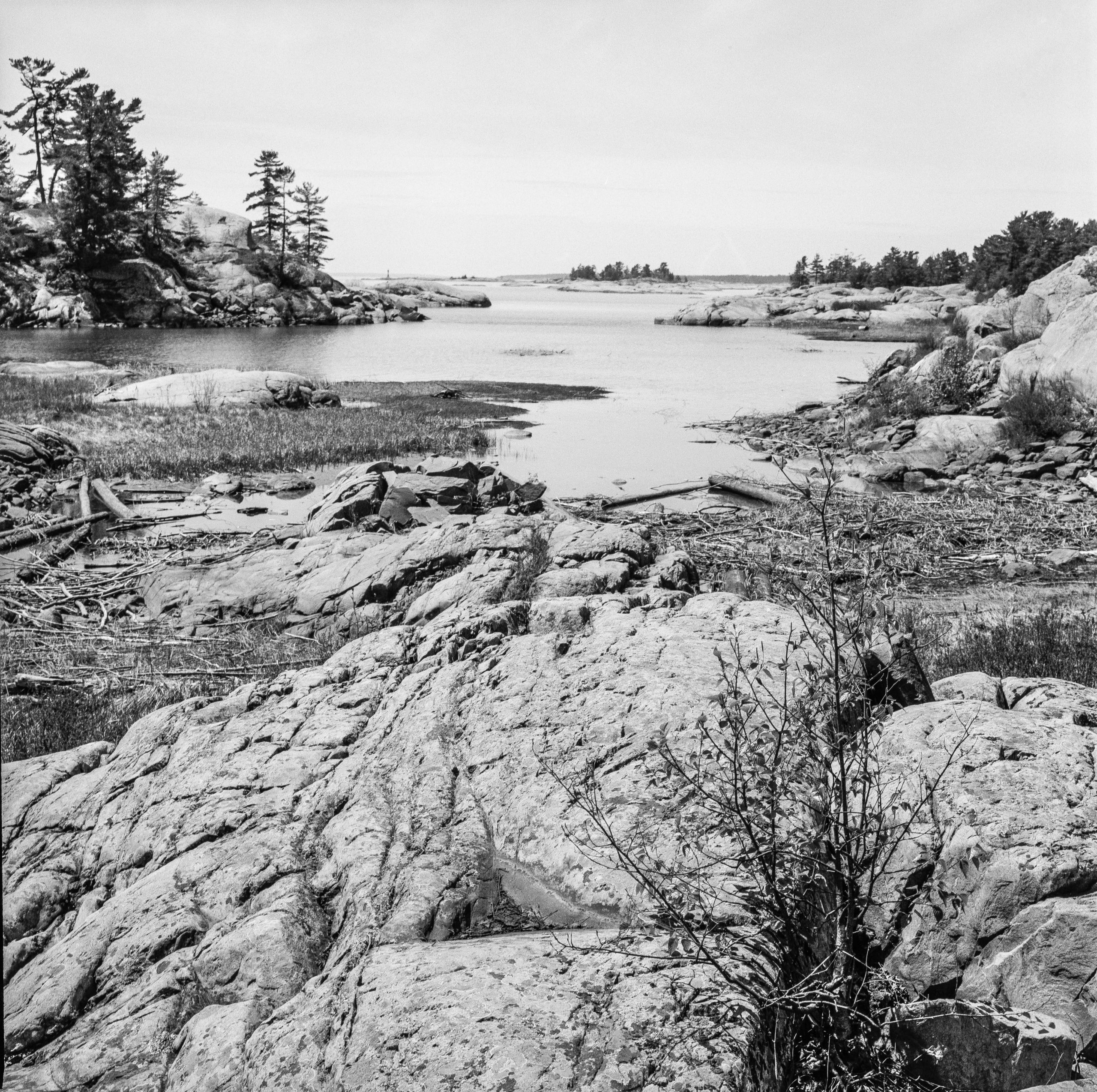 Georgian Bay: Shoreline