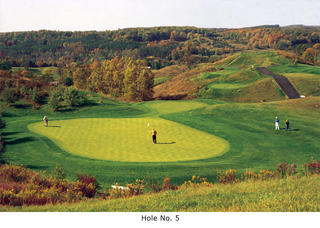 Hockley Valley Resort: 5th Hole par 3