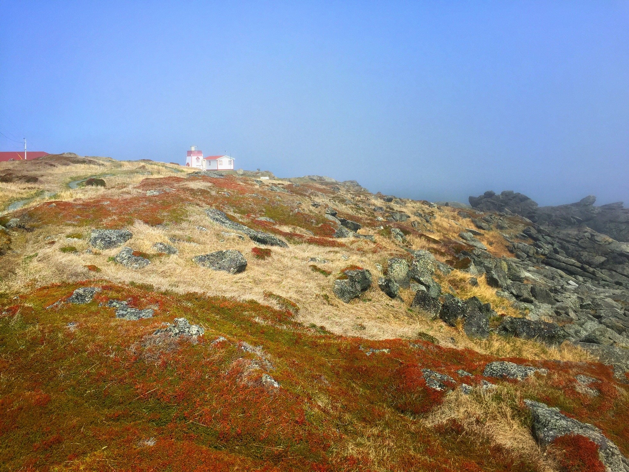 Trail on Fishing Point