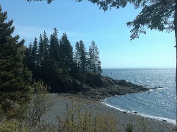 Picture of coast line around Owls Head