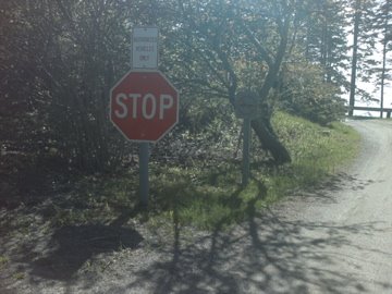 Picture of a stop sign on a 3 foot post.  There must be a lot of short people in Maine