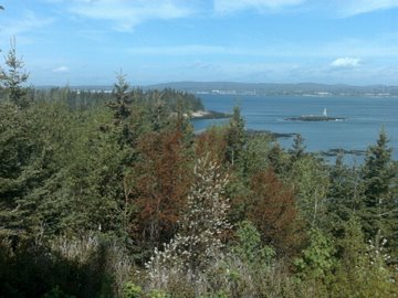 Picture from light house at Owls Head facing into Rockland