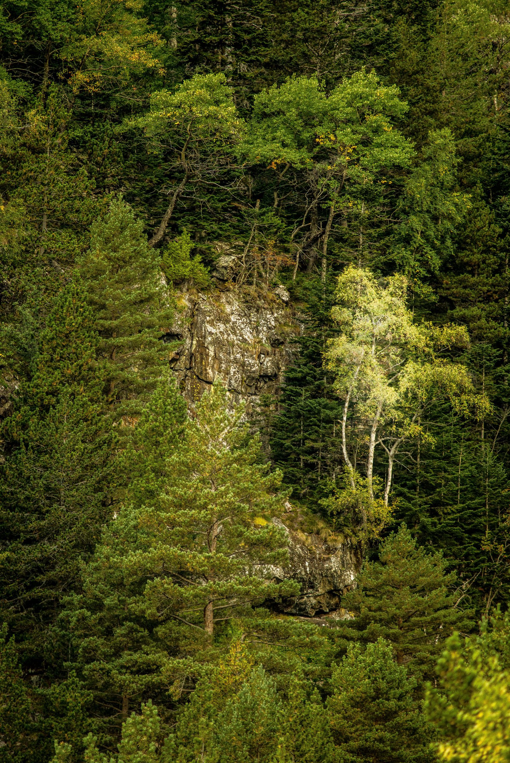 Andorra: Hiking #2