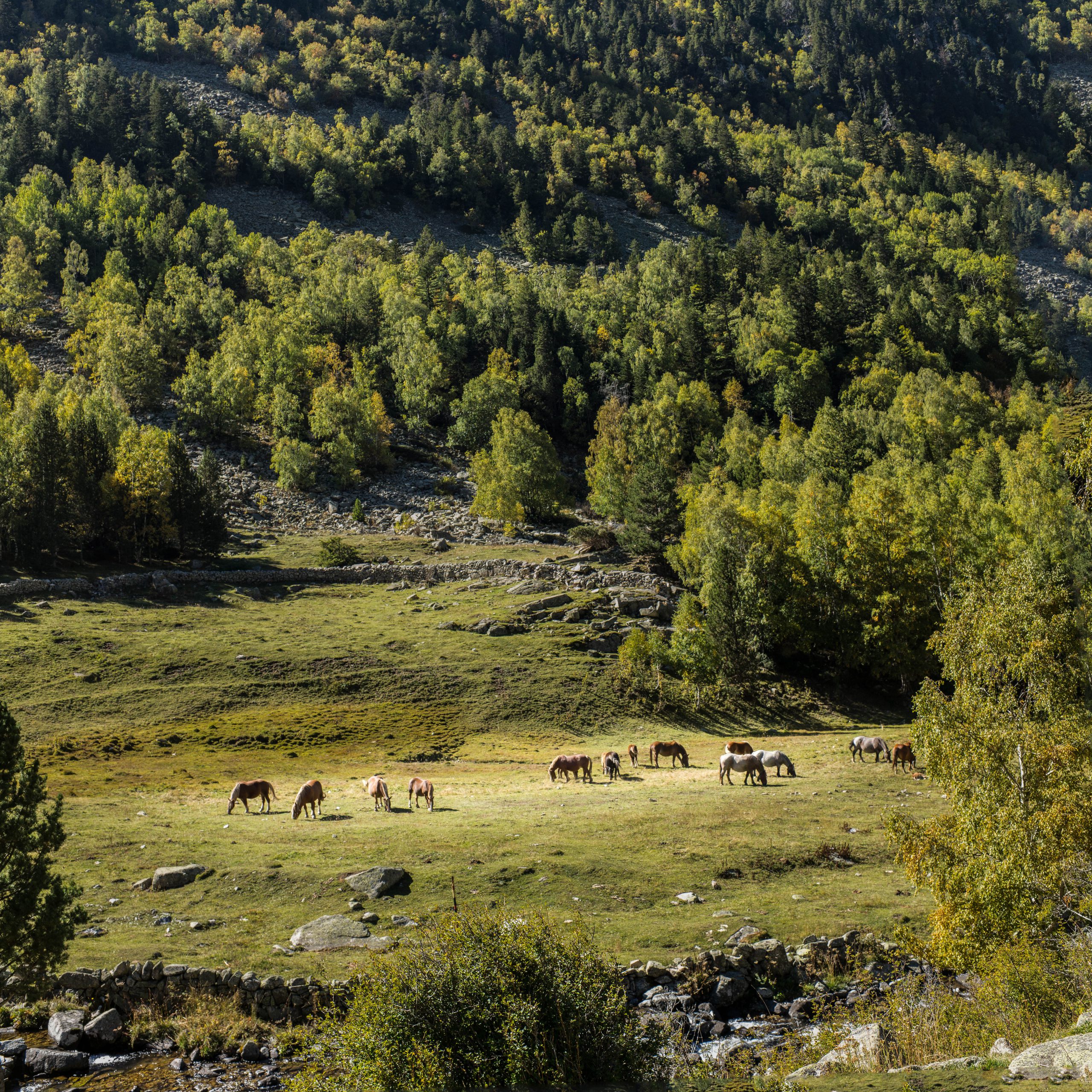 Andorra: Hiking #1