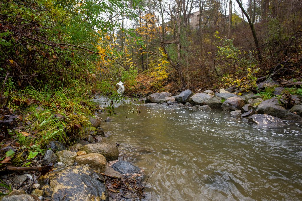 2018-11 The Park, Content, Forest, Image type, Landscape, Locale, Nature, Other, Park, Plant, Projects, River, Tree, Water, Waters, Wood