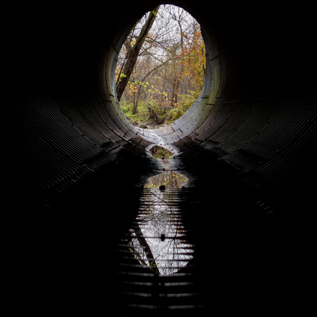 2018-11 The Park, 2021-03-15 BJP Witnesses Of: The Everyday, Architecture, Content, Dark, Favourite-All Time, Image type, Landscape, Locale, Park, Photography, Projects, Thing, Tunnel, Unsaturated, tunnel