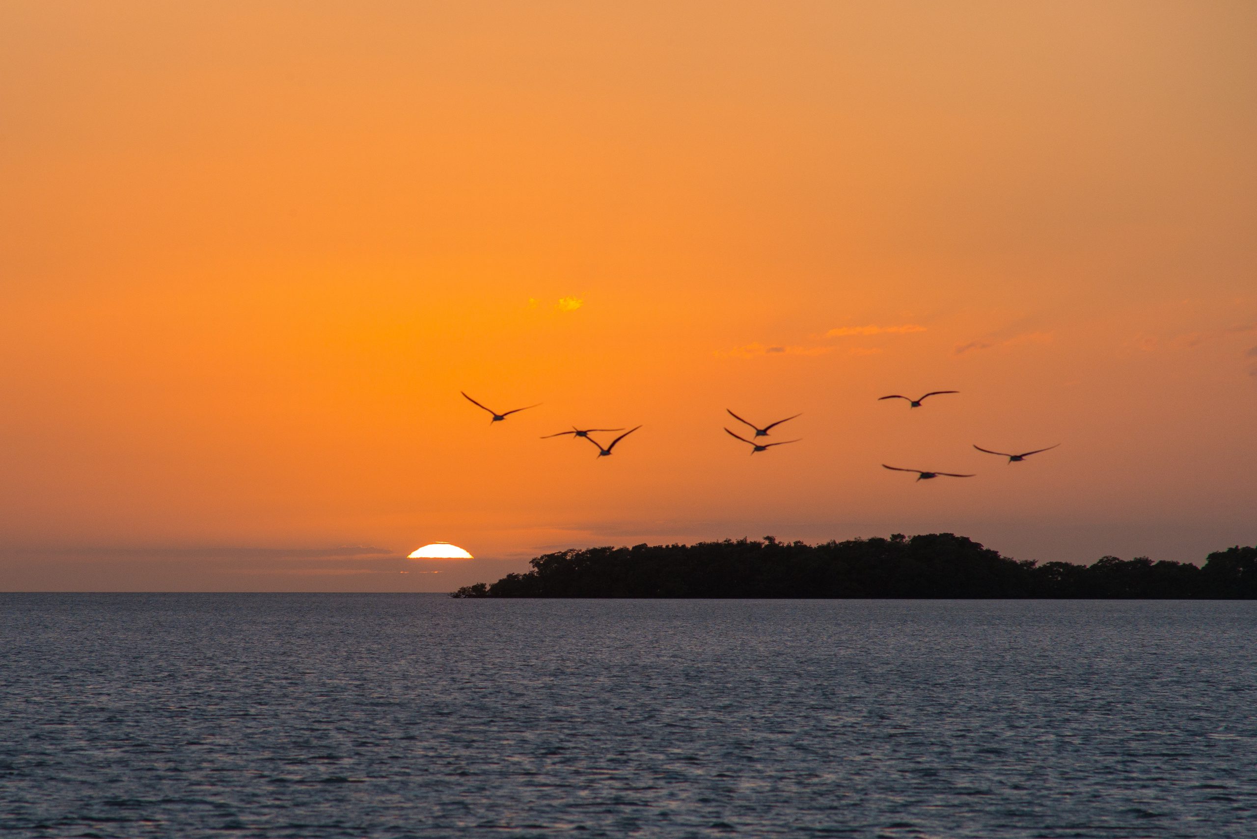 Sunset at Flamingo