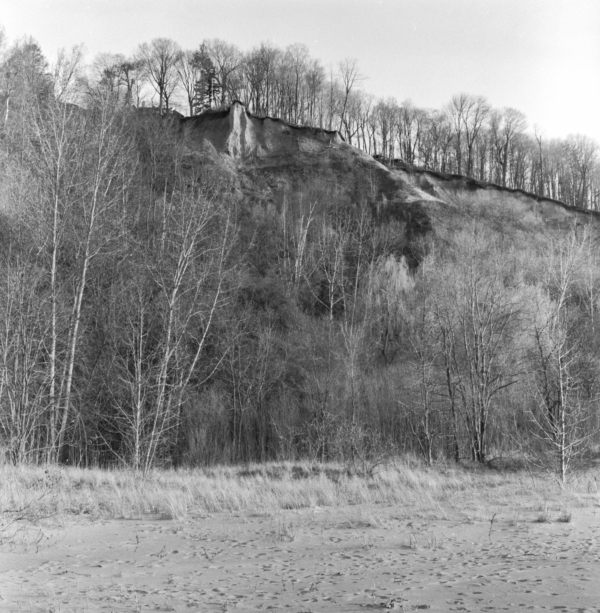 Scarborough Bluffs Park: Bluffs