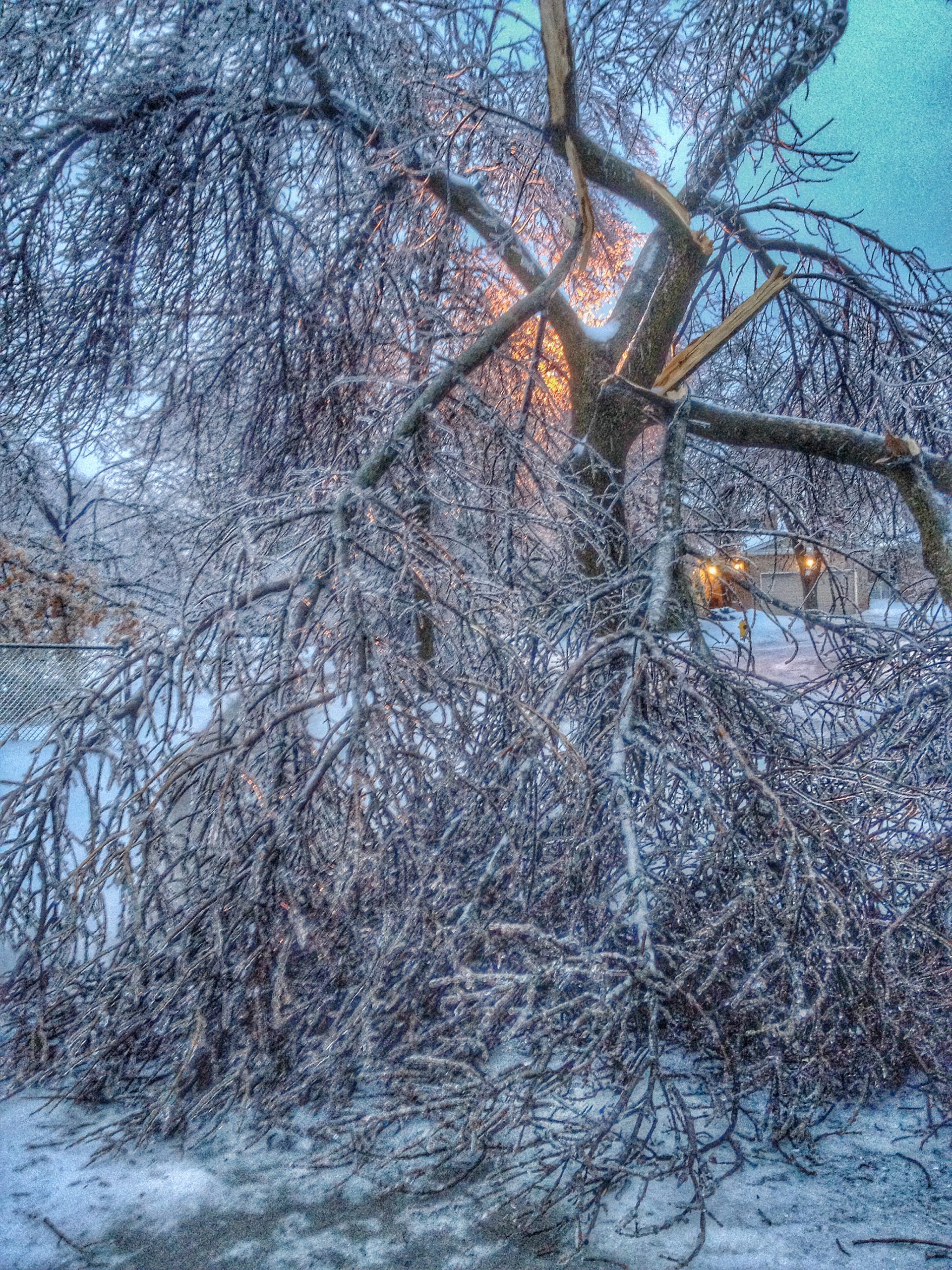 Ice Storm