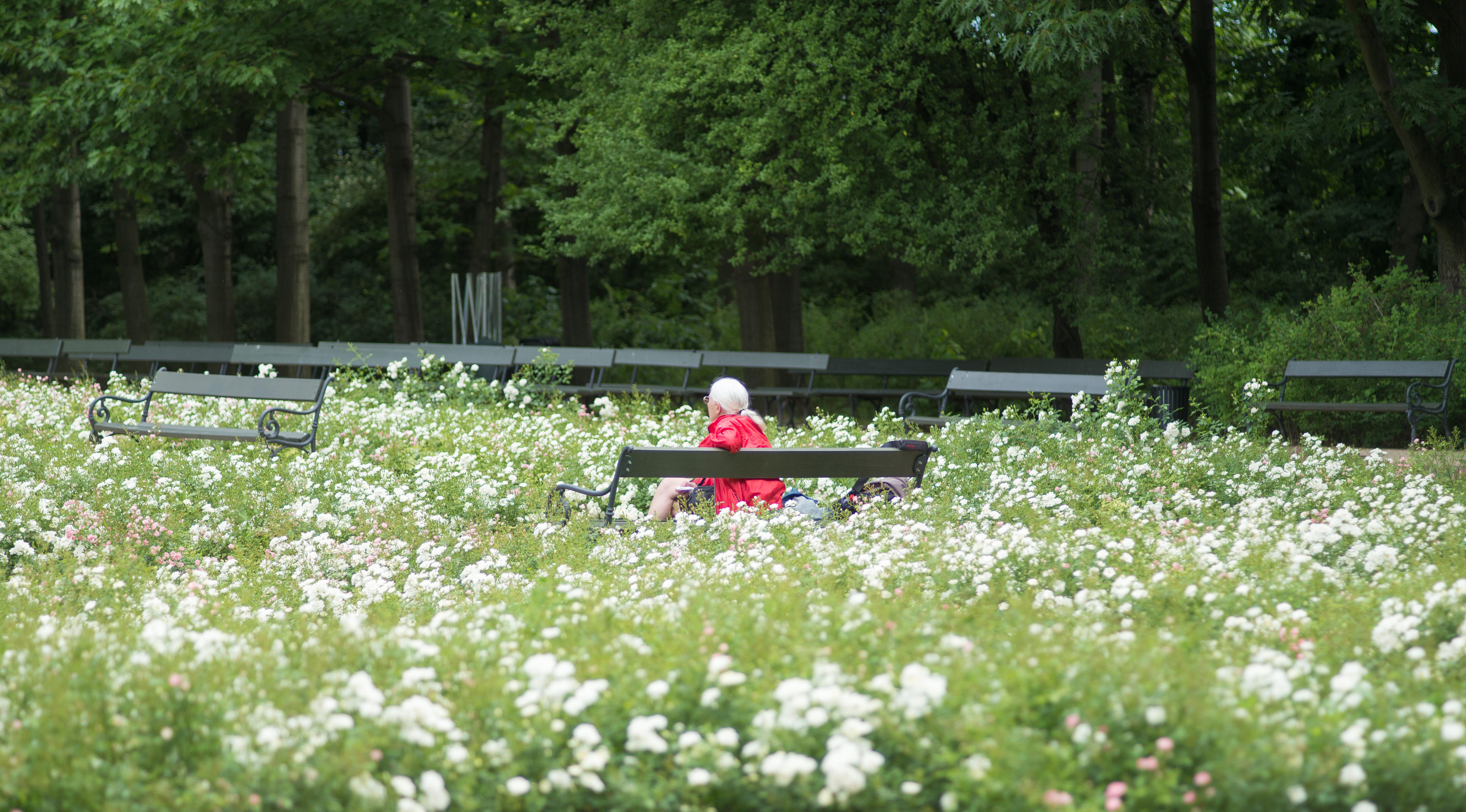 Sunday in the Park