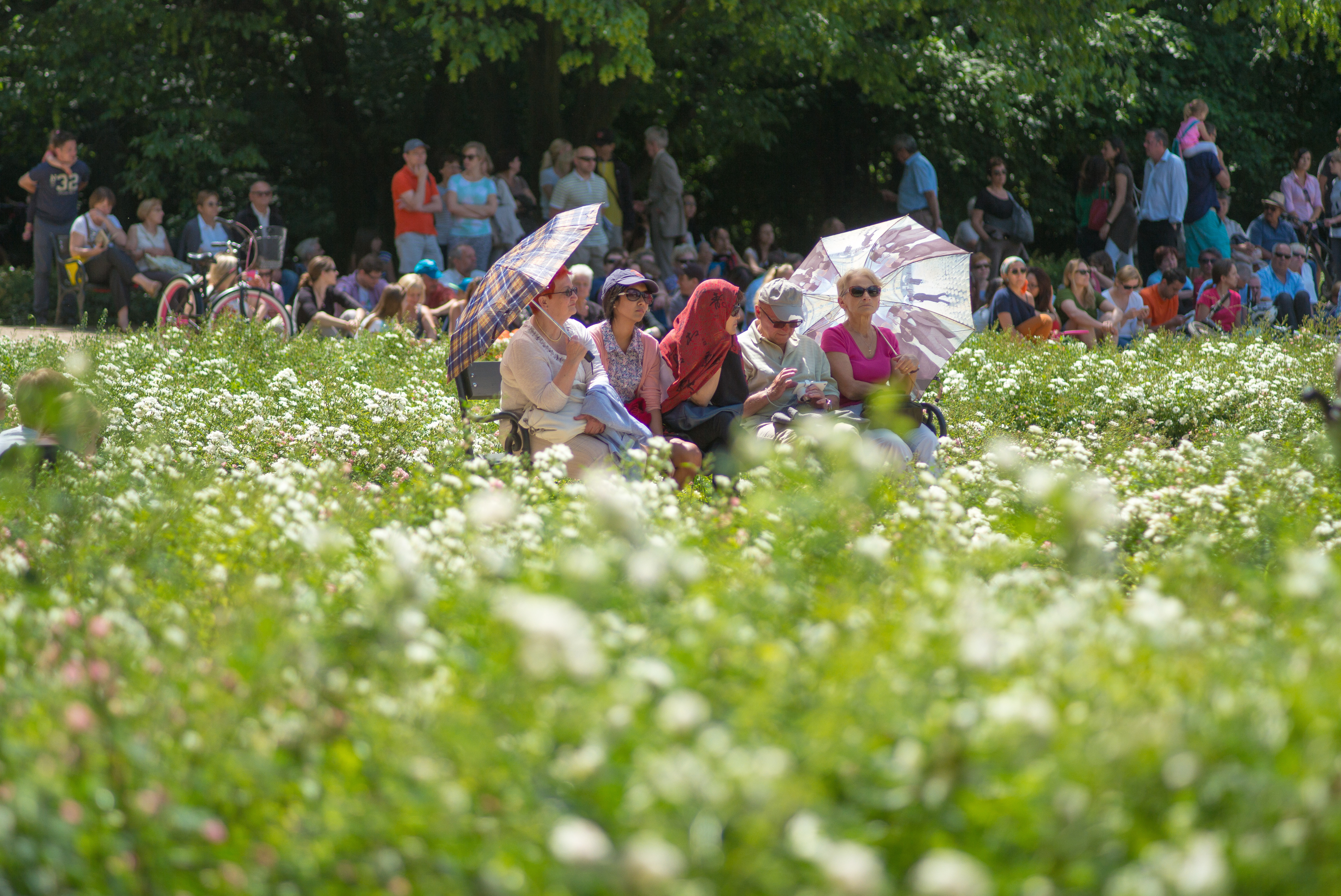 Sunday in the Park