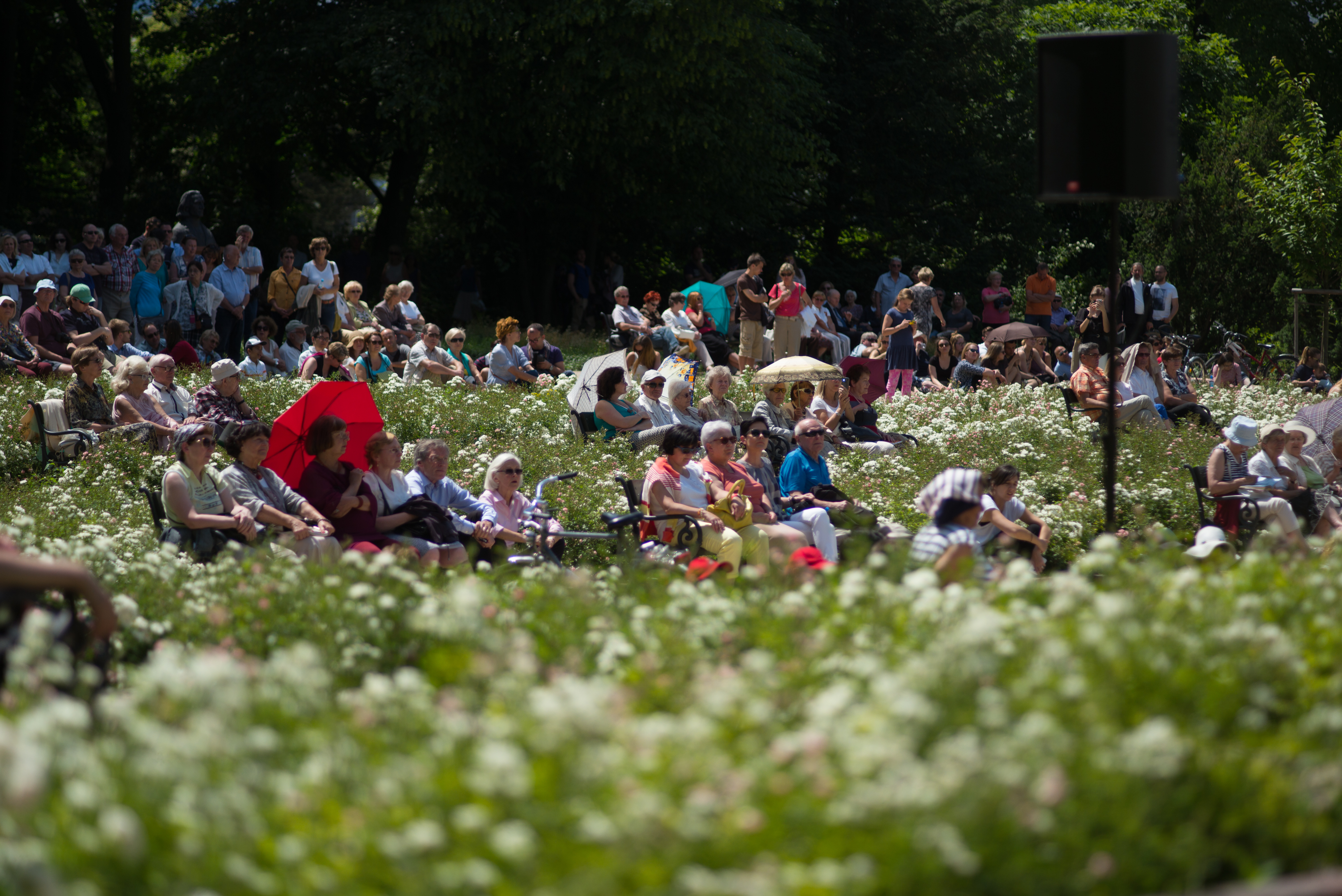 Sunday in the Park