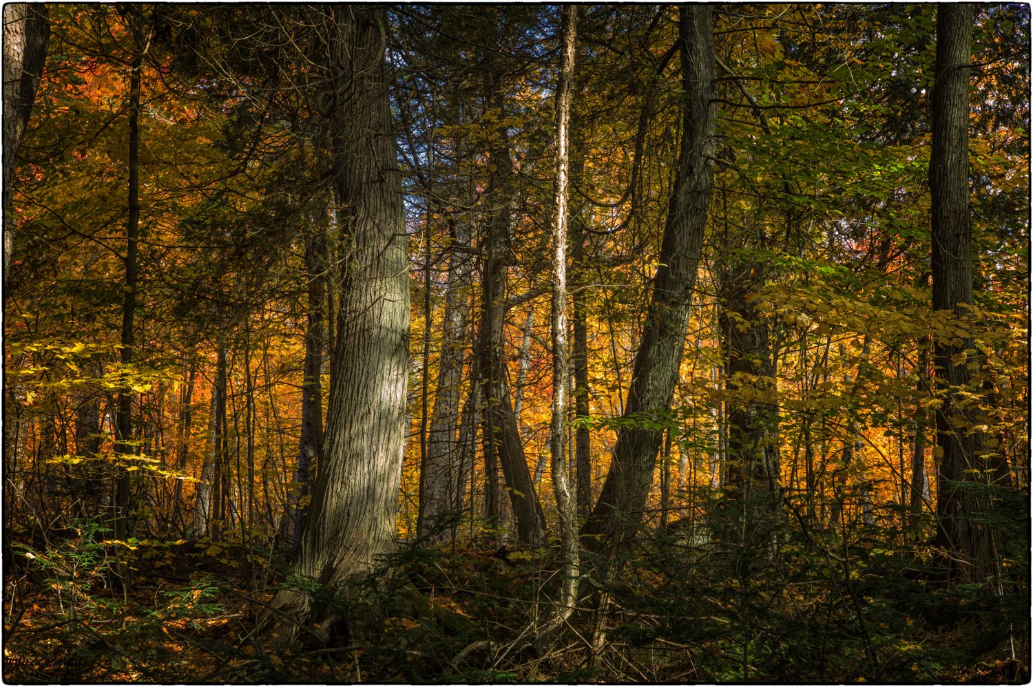 Leica M9, Leica Summicron-M 50mm, ISO 160, f/16, 1.0 sec