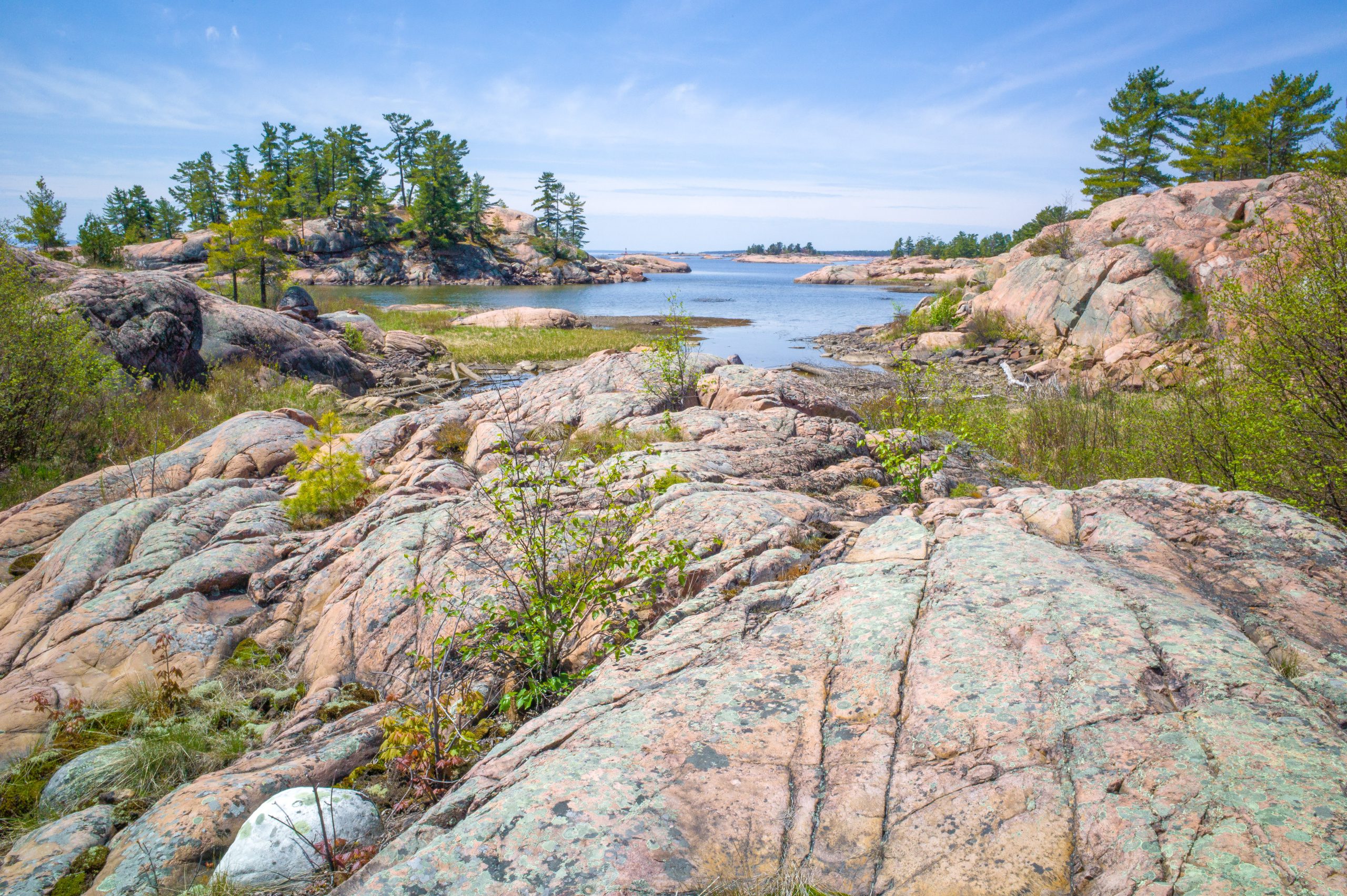 Georgian Bay: Chikanishing Trail