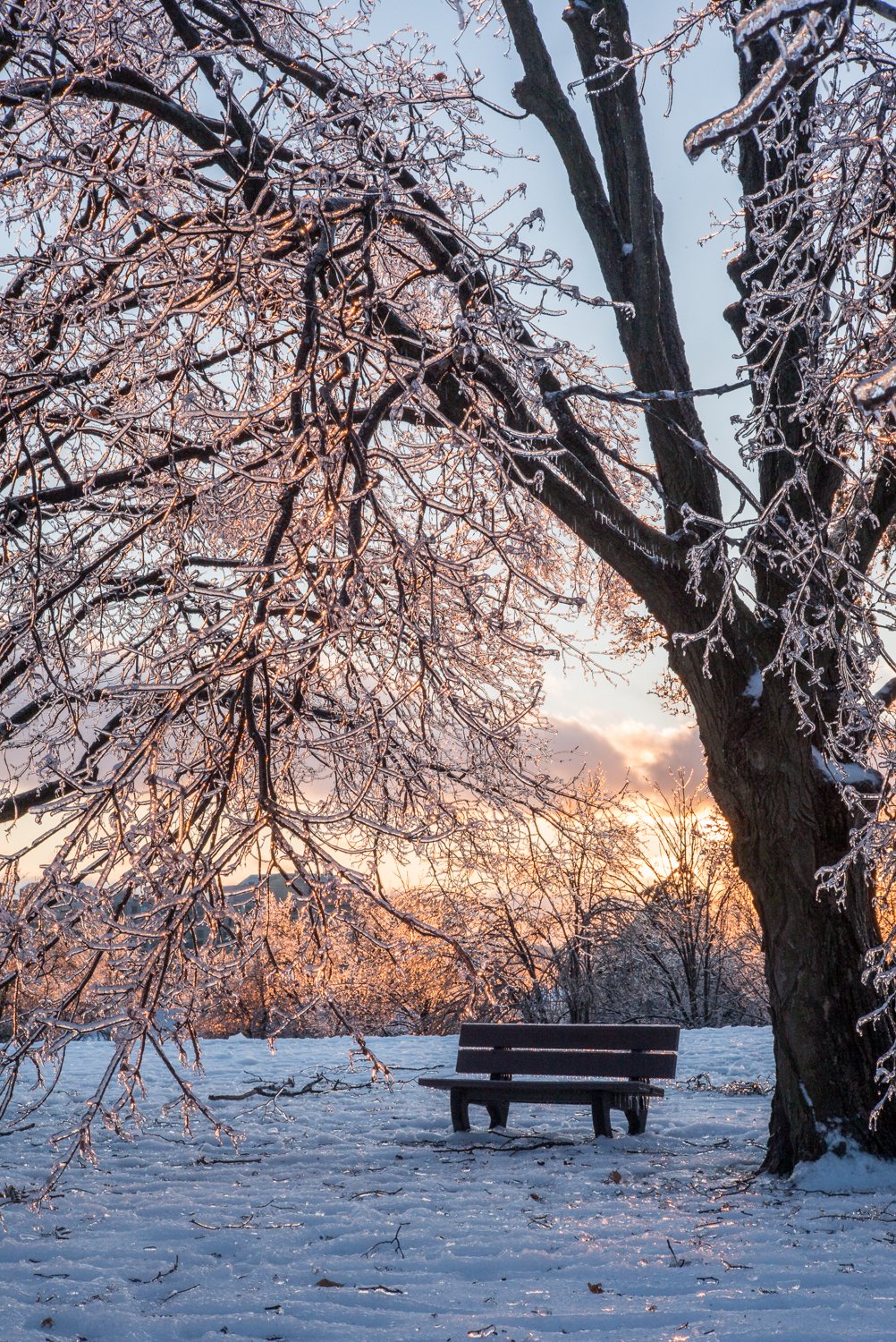 Ice Storm