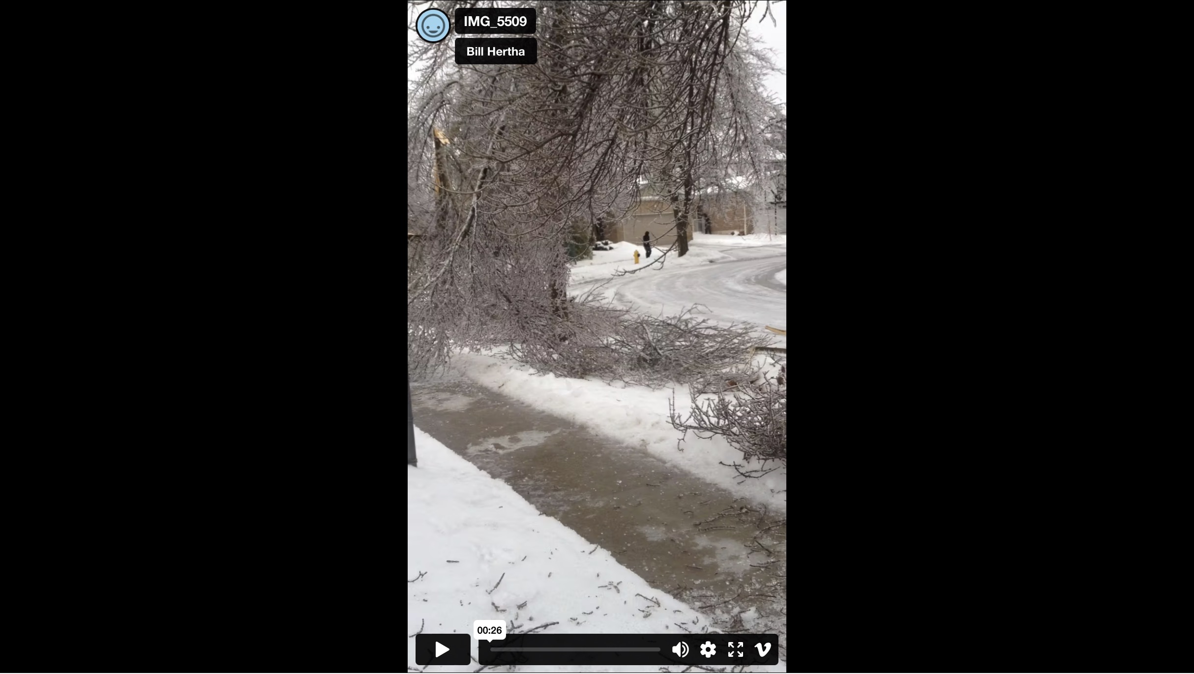 Trees Downed by Ice Storm