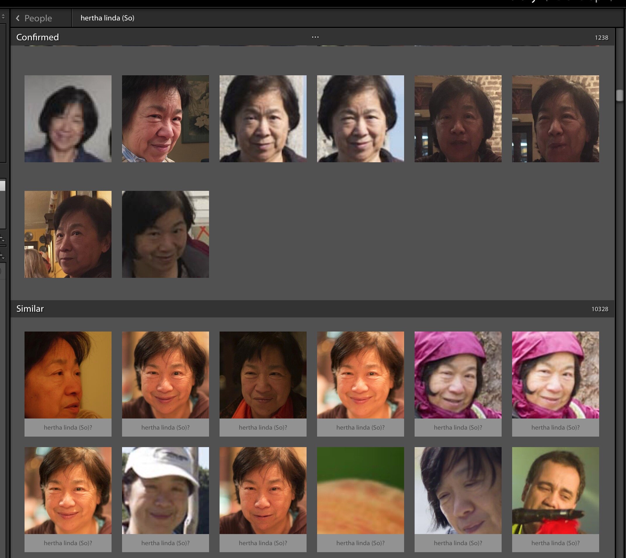 Here I drilled down into the Confirmed Faces for Linda. In the split screen, the top part shows the images confirmed to be correct, the bottom part of the screen shows the Similar faces.  Here you can highlight all those that belong to Linda an…