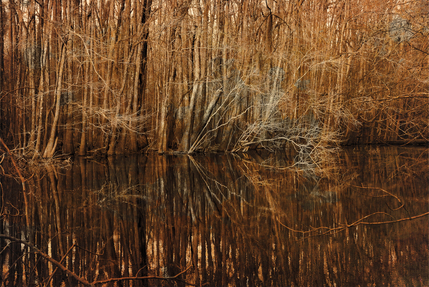 Weston Lake, CongareeLeica M, Leica Noctilux-M 1:0.95/50 ASPH, ISO 1000, f/8, 1/250 sec