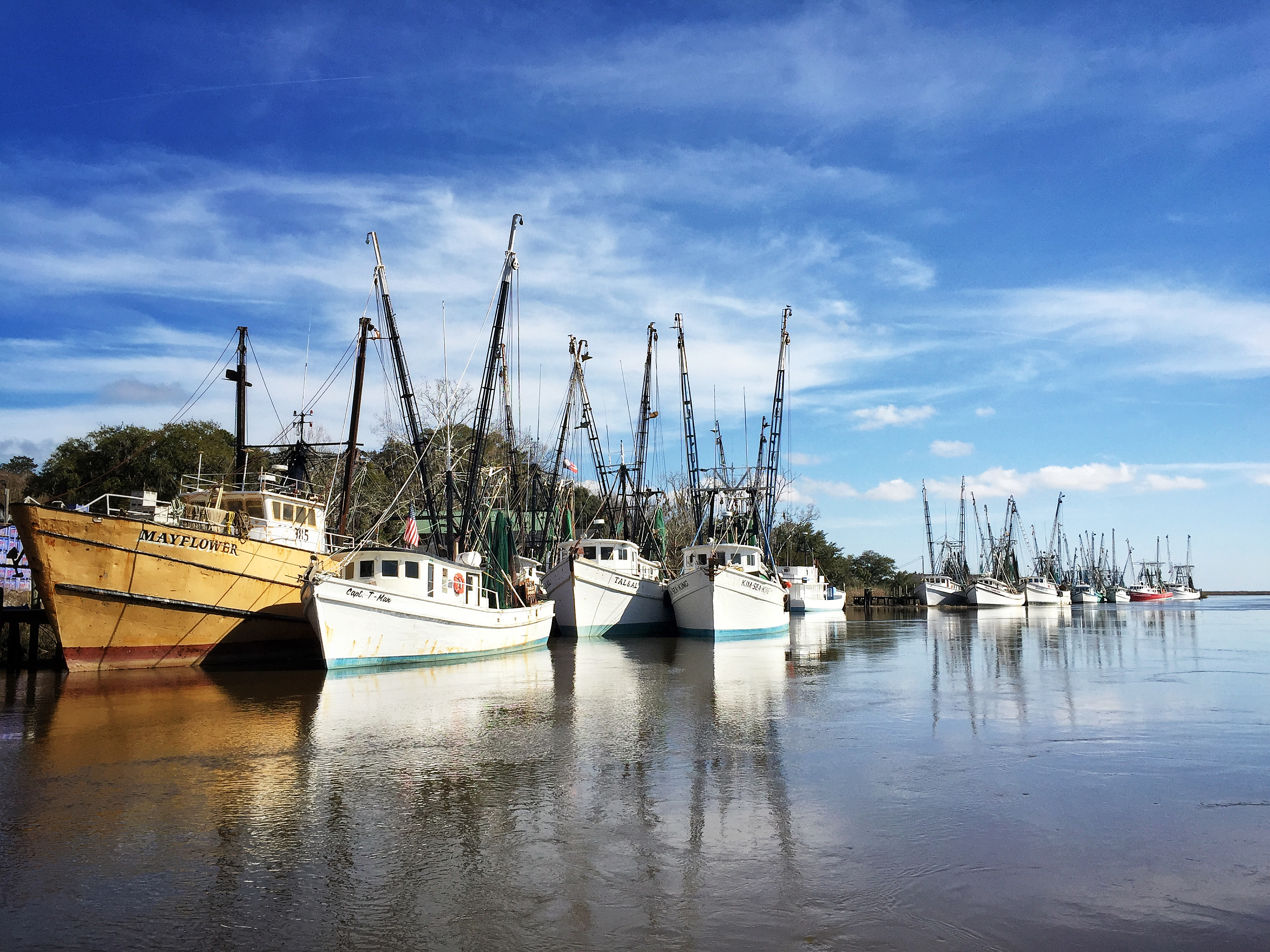 Shrimp Boats on Darien River, Darien GeorgiaiPhone