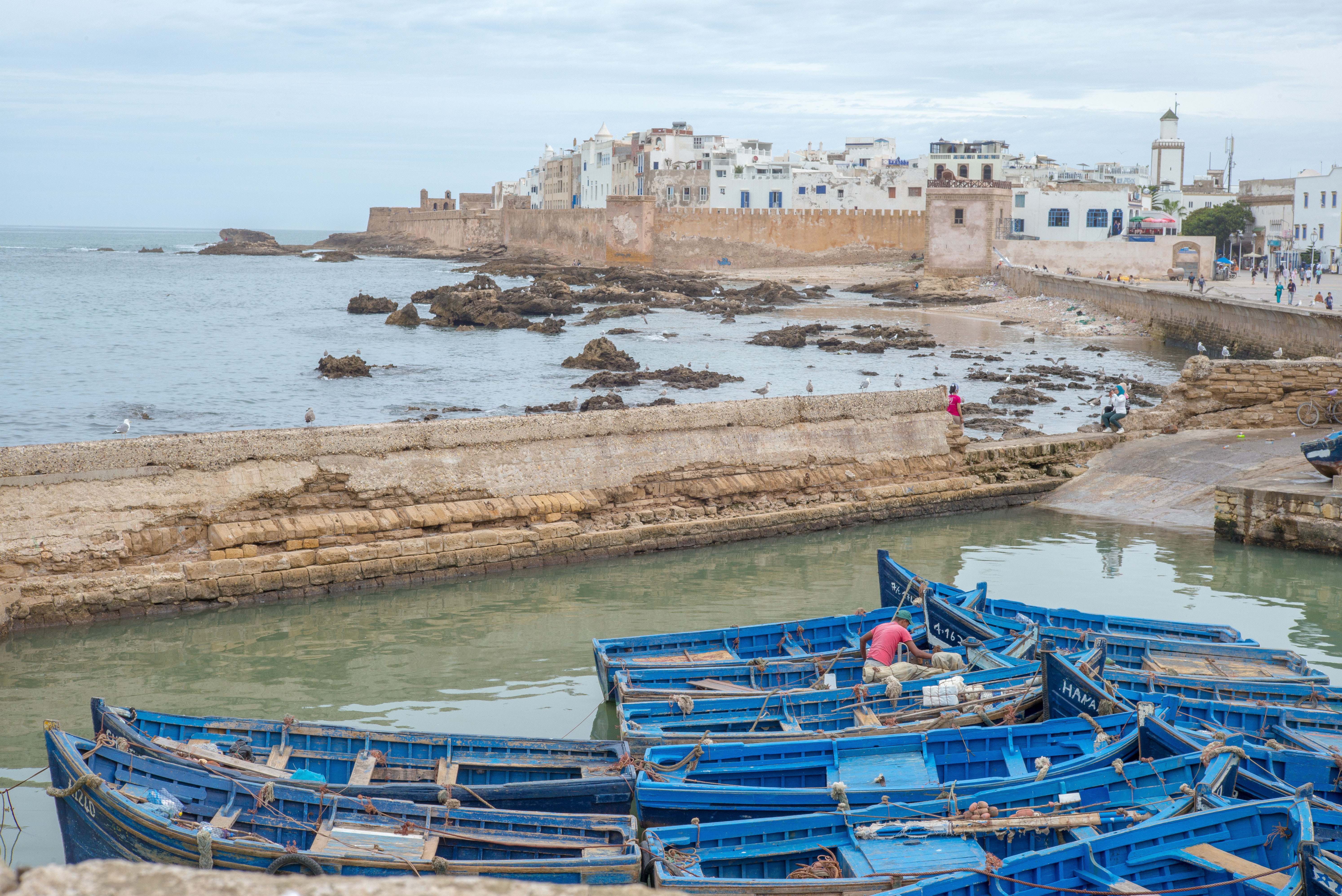 Fishing boats