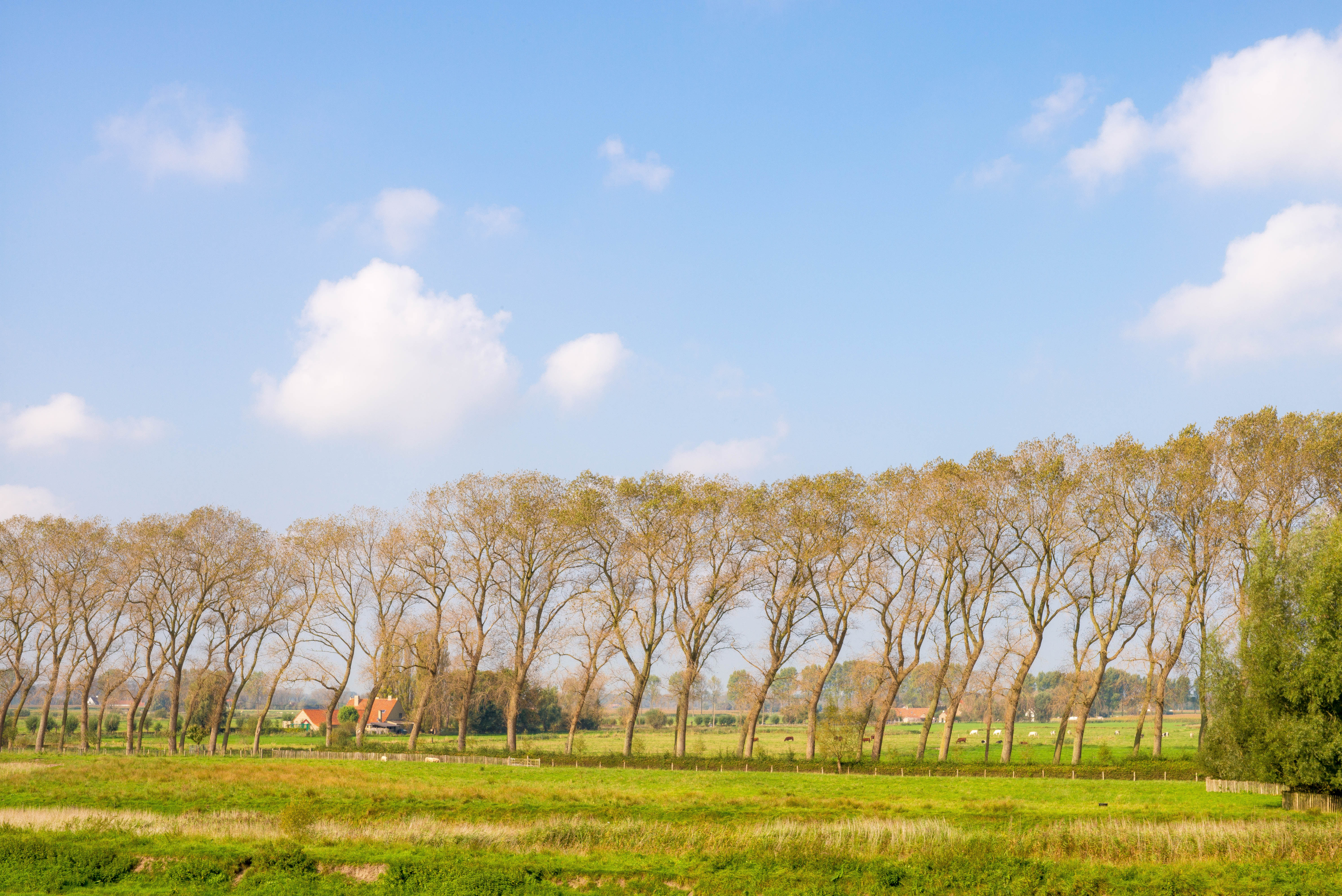 Farm HouseLeica M, Leica Noctilux-M 1:0.95/50mm, ISO 200, f/16, 1/90 sec