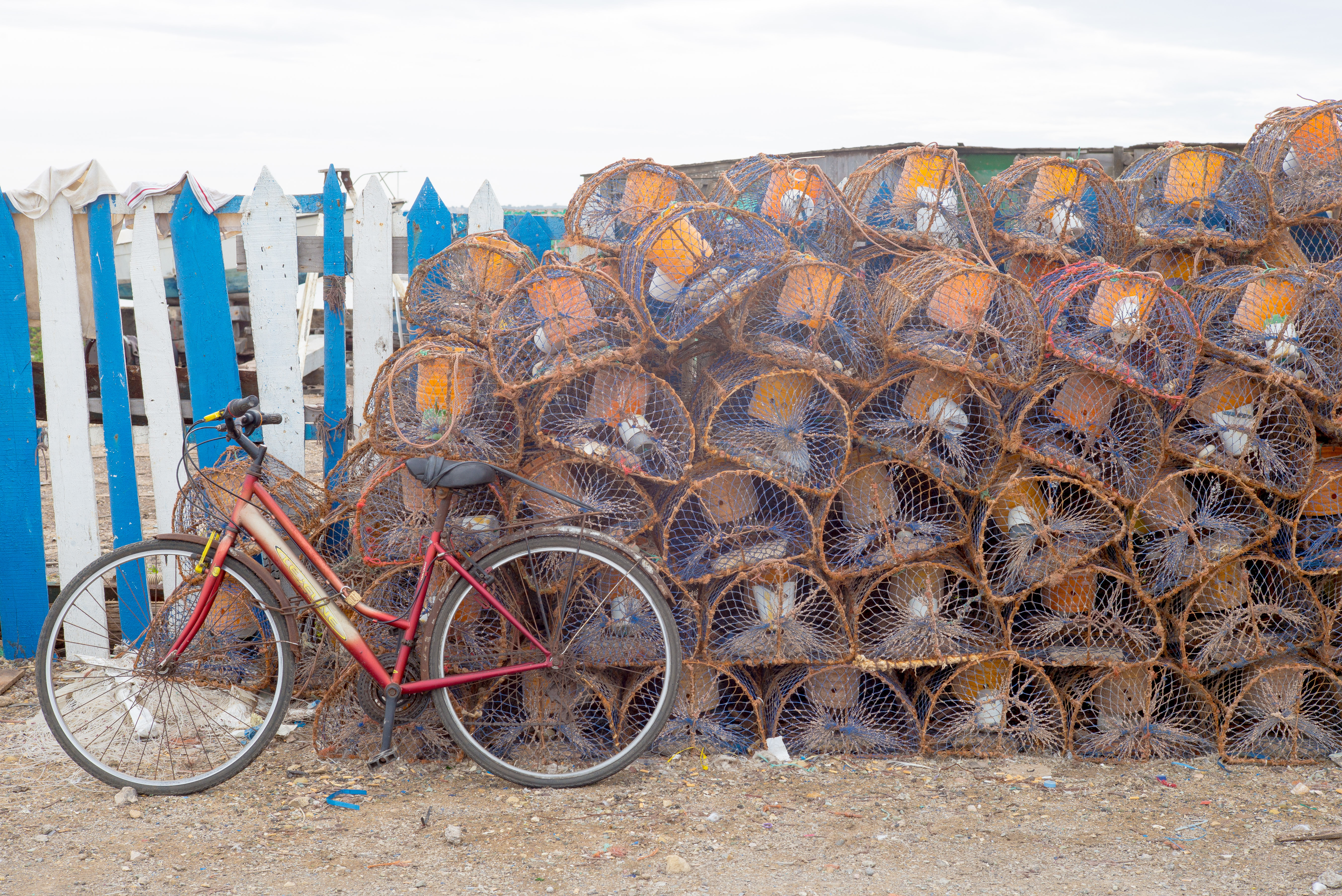 Bicycle and traps