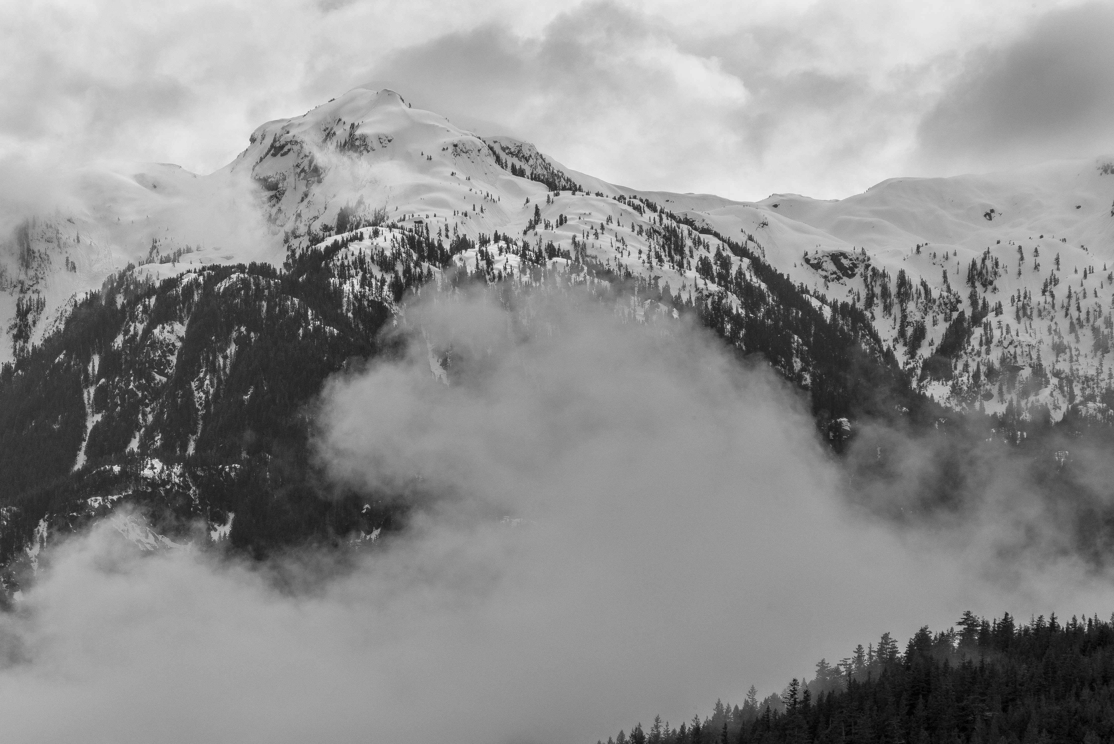 Leica M, Canon FD 200mm F2.8, ISO 200, f/22, 1/500 secCoastal Range