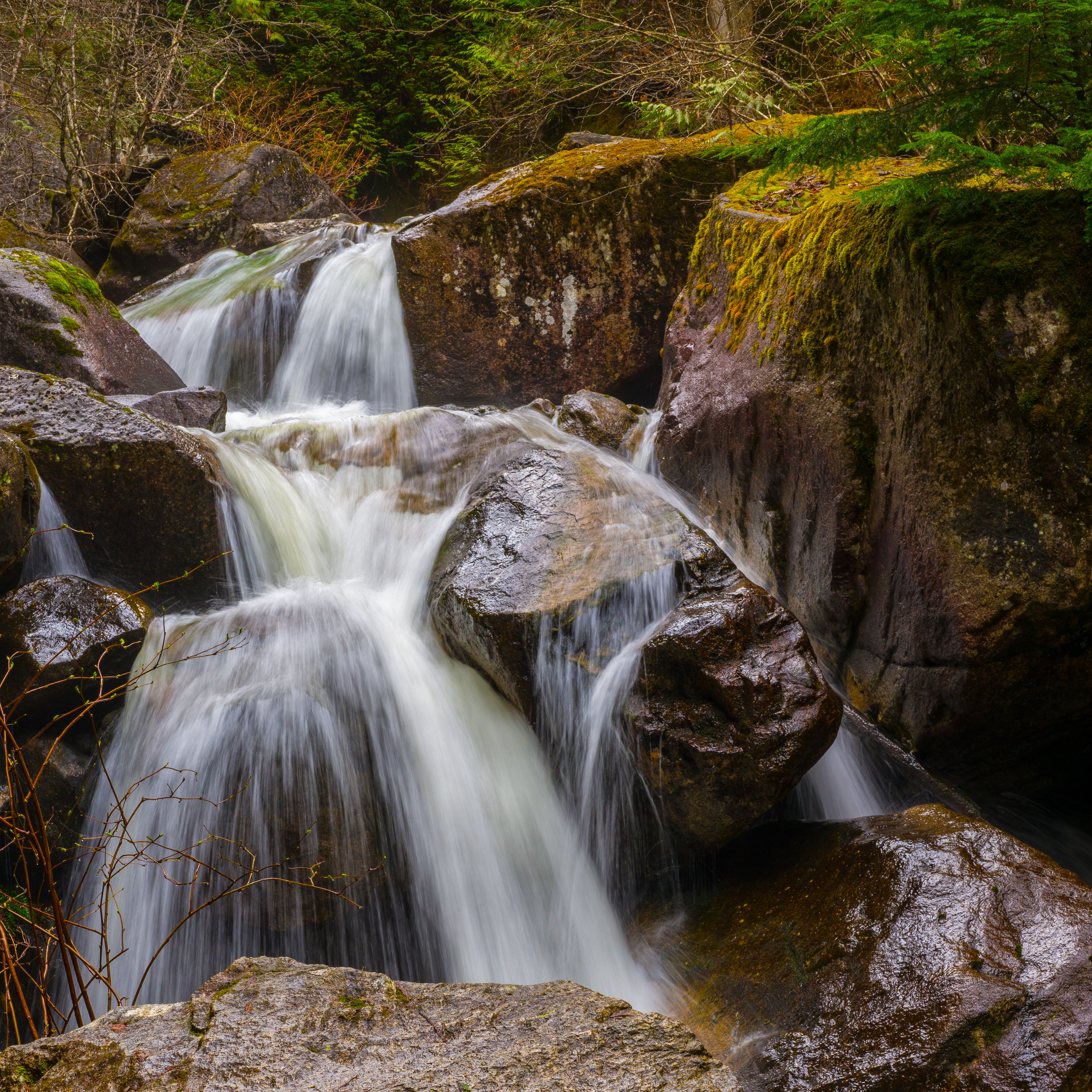 Leica M, Leica Noctilux-M 50mm, ISO 100, f/16, 1/12 secWaterfall in Stawamus Chief Trail