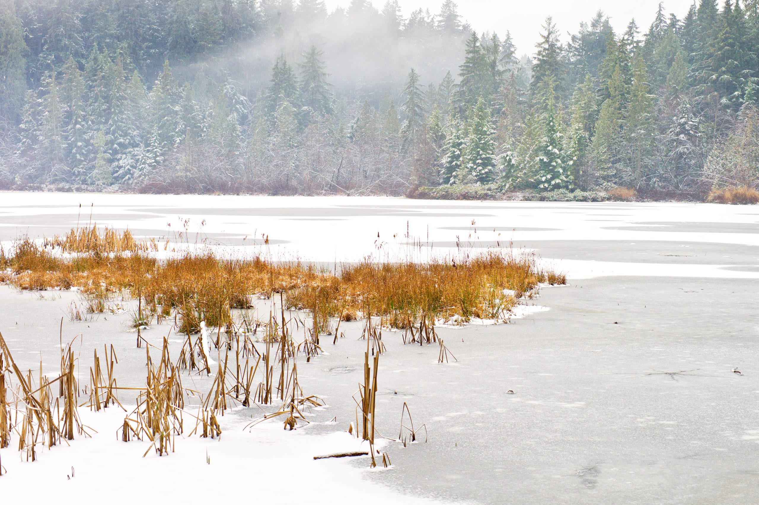 Mist Over Beaver Lake