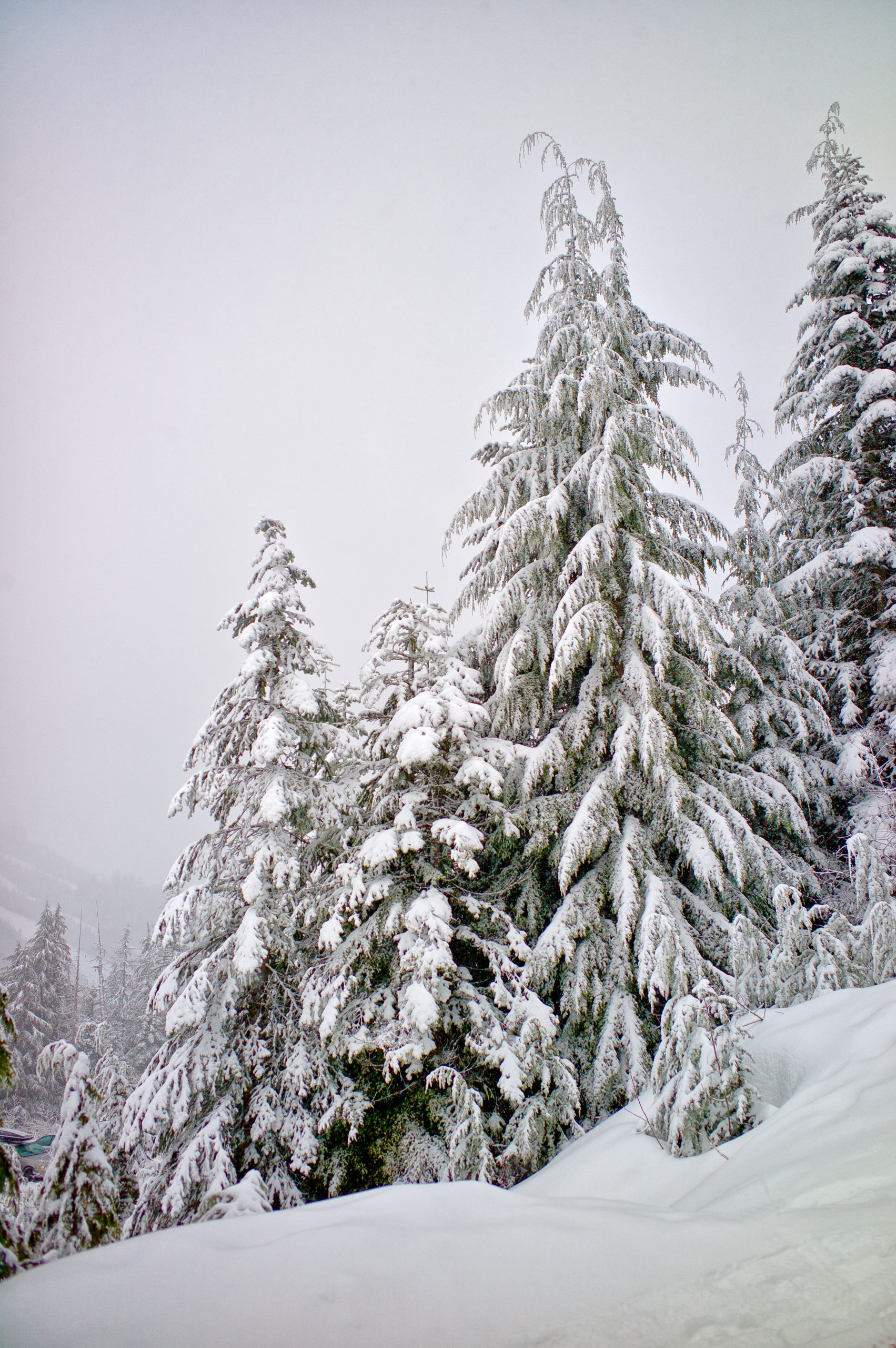 Cypress Mountain