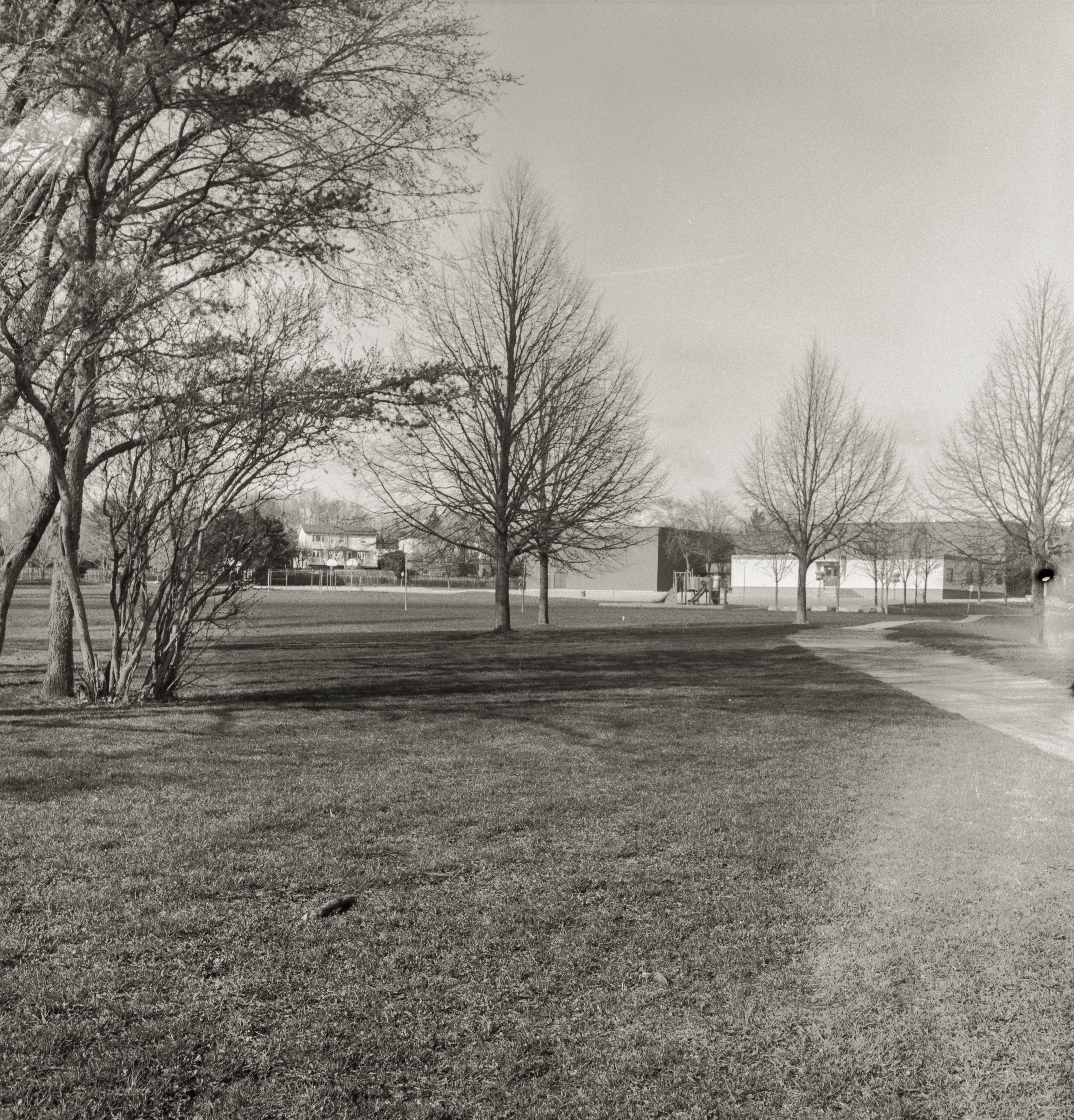 I crimped the film when winding it onto the development roll resulting in the blemish on the right.Windy Hill Park Thornhill, Rolleiflex Compur-Rapid Schneider-Kreuznach 7.5 cm f/3.5, ISO 125, f/22, 1/60 sec