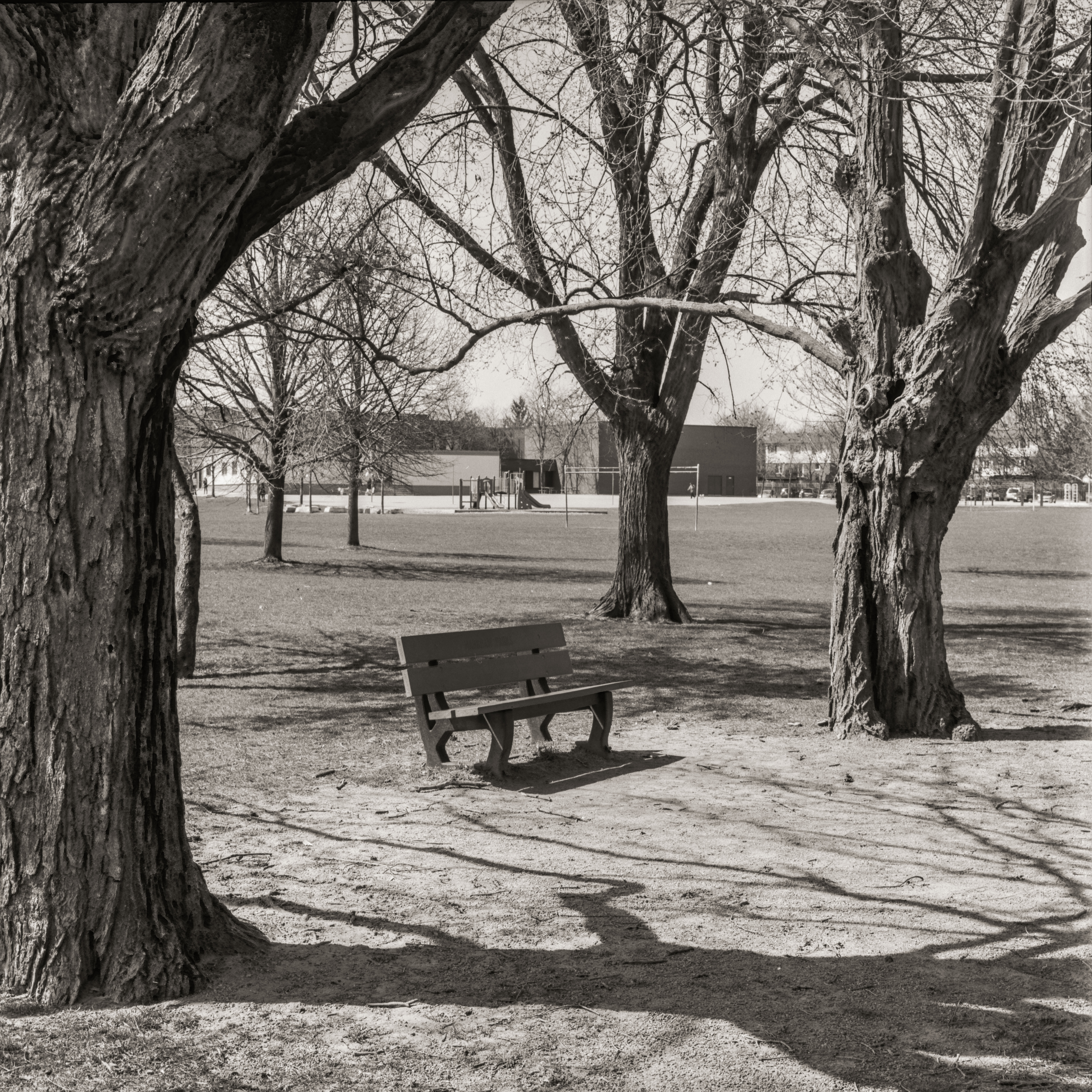 Bench in Windy Hill Park,Bronica SQ-A, Zenza Bronica-S 80mm f/2.8, Kodak TMX-100 ISO 100, f/22, 1/15 sec,  Ilford ILFOSOL3, 7 mins @18C