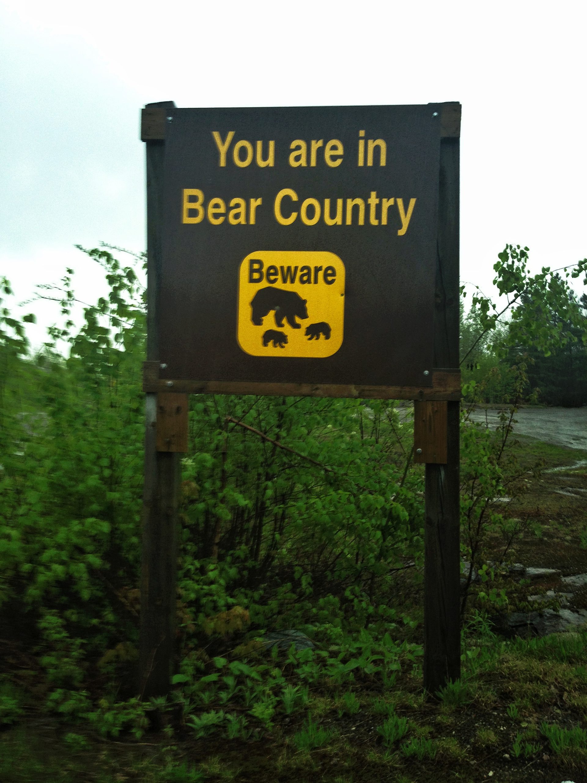 Road-side Animal Warning Signs