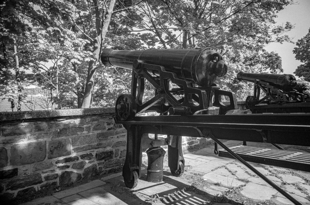 2023-05 Gaspe, Canada, Content, Nature, Other, Places, Plant, Projects, Quebec, Quebec City, Tree, Wood