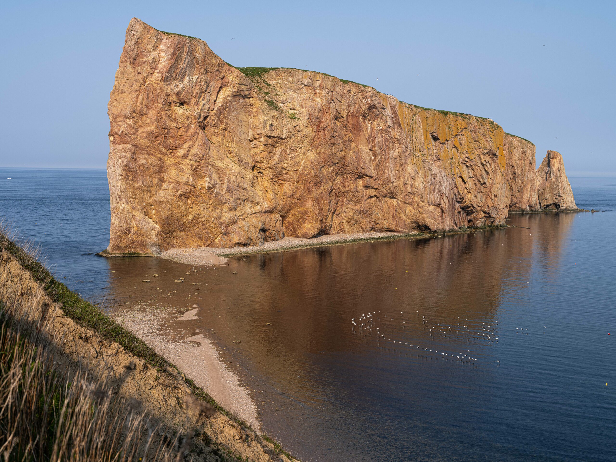 Percé