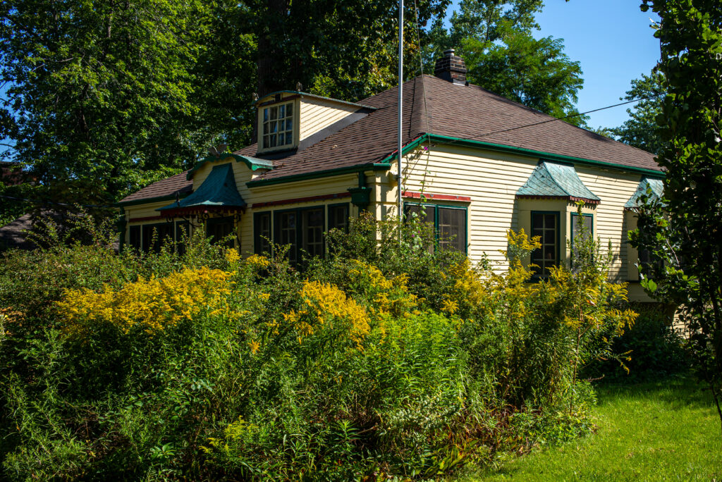 Architecture, Building, Colorful, Content, Dark, Forest, Garden, House, Nature, Other, Outdoor, Photography, Place, Plant, Tree, Wood